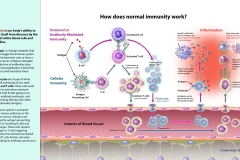 What is Immunity?